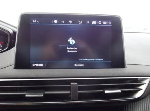 Peugeot 3008 BLUEHDI 100 CV ACTIVE BUSINESS EAT8 - photo 7