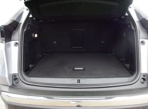 Peugeot 3008 BLUEHDI 100 CV ACTIVE BUSINESS EAT8 - photo 10