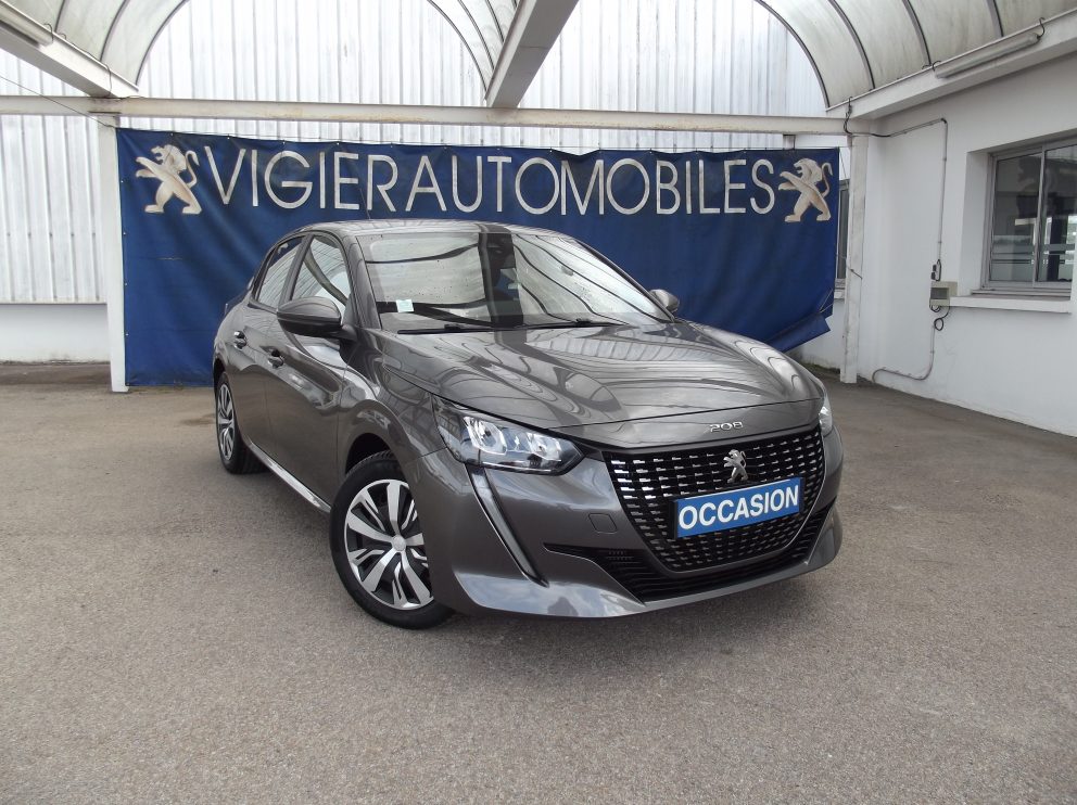 Peugeot 208 208 1.5 BLUEHDI 100 CV ACTIVE BUSINESS BVM - photo 1
