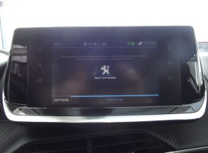 Peugeot 208 208 1.5 BLUEHDI 100 CV ACTIVE BUSINESS BVM - photo 10