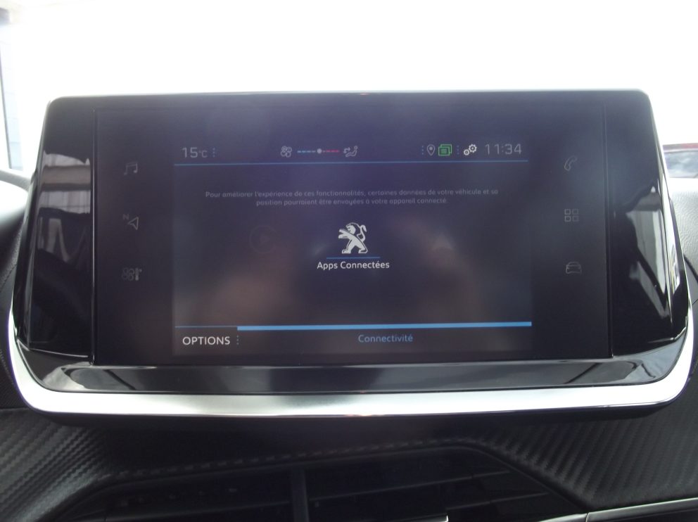 Peugeot 208 208 1.5 BLUEHDI 100 CV ACTIVE BUSINESS BVM - photo 10