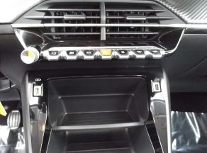 Peugeot 208 208 1.5 BLUEHDI 100 CV ACTIVE BUSINESS BVM - photo 11