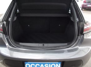 Peugeot 208 208 1.5 BLUEHDI 100 CV ACTIVE BUSINESS BVM - photo 13