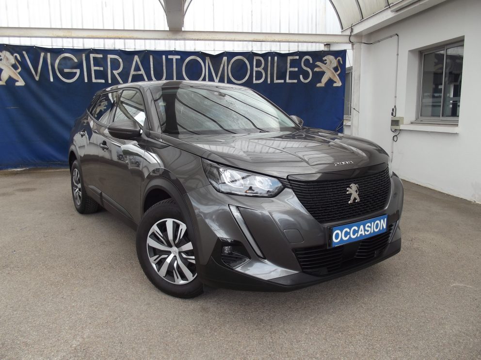 Peugeot 2008 BLUEHDI 100 CV ACTIVE BUSINESS BVA - photo 1