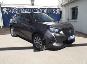 Peugeot 2008 BLUEHDI 110 CV ACTIVE BUSINESS BVM