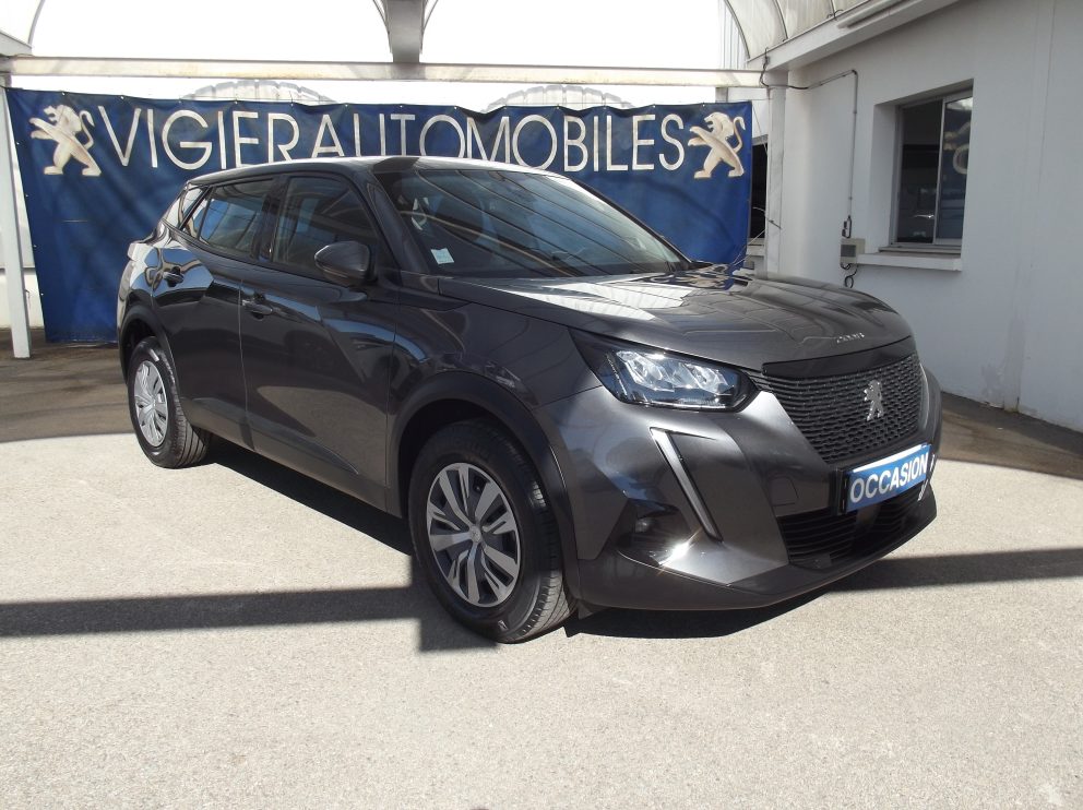 Peugeot 2008 BLUEHDI 110 CV ACTIVE BUSINESS BVM - photo 1